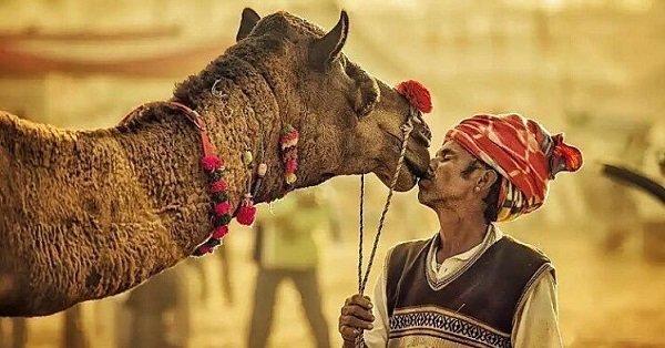 These Stunning Photos Beautifully Capture The Different Colors Of India