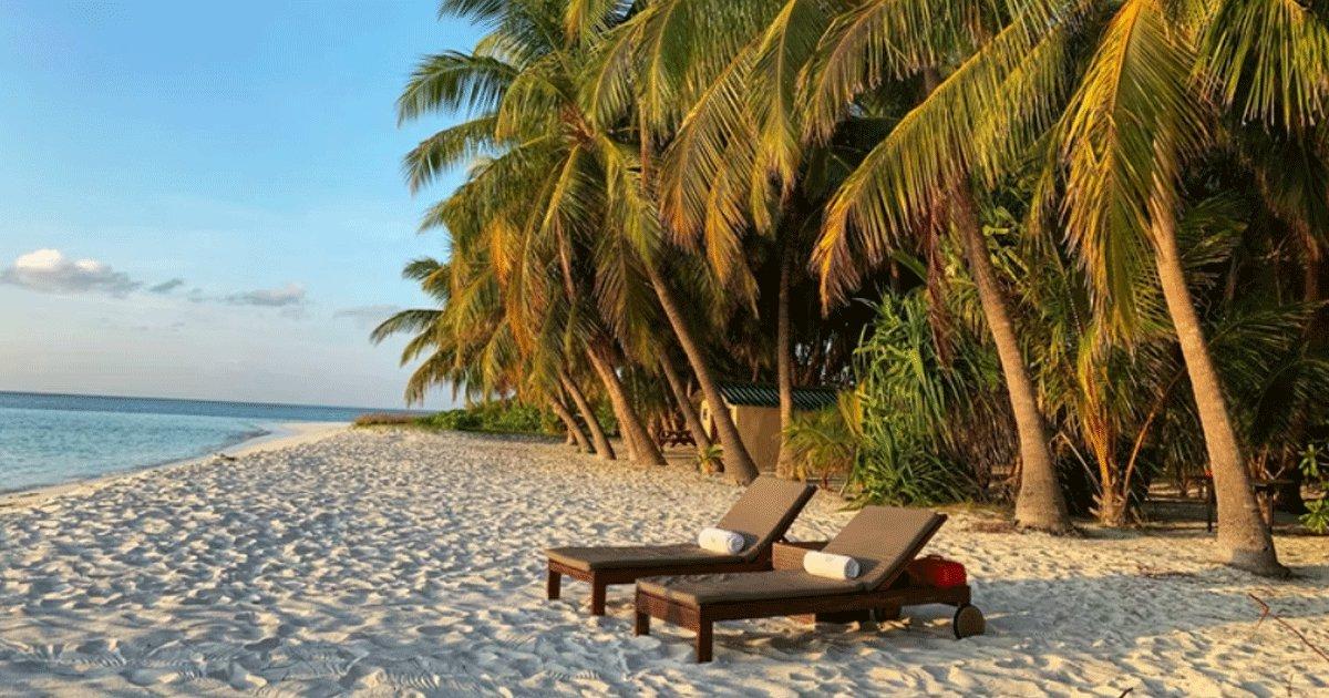 This Firm Is Taking Its On Employees On A Free Vacation For Working During The Pandemic