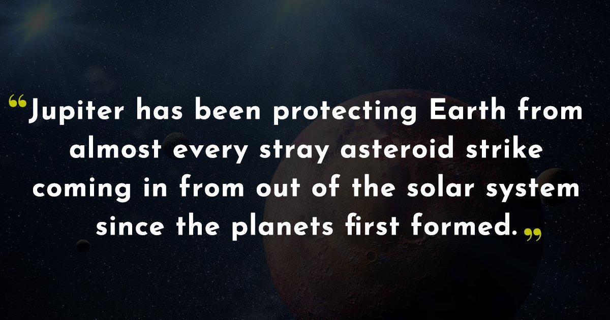 16 Redditors Share Incredibly Comforting Facts That’ll Put Your Heart At Ease No Matter What