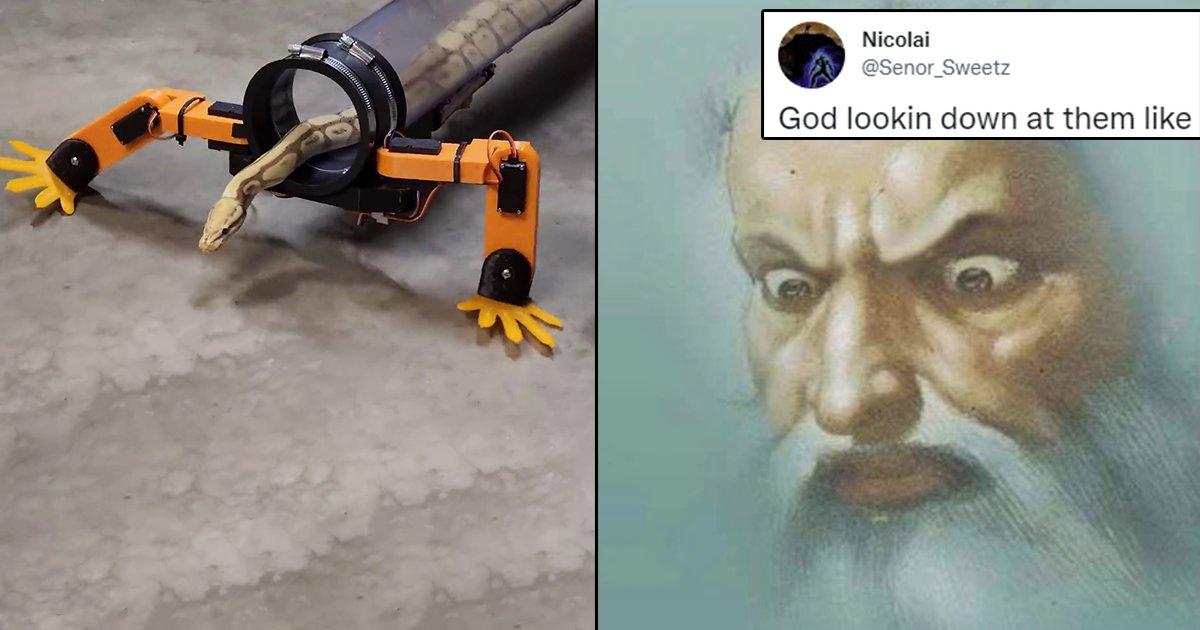 Man Defies The Laws Of Evolution And Creates A Robot Suit That Allows Snakes To Walk With Legs