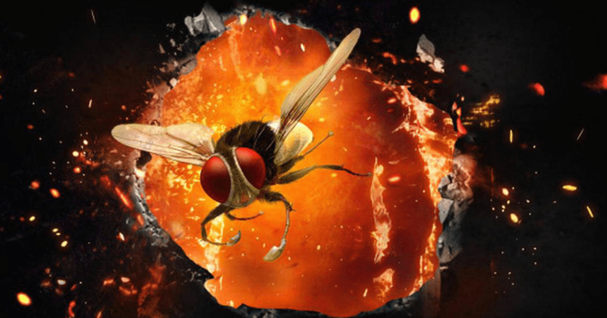 Not Karan Arjun Or Sholay, Eega (Makkhi) Remains My Favourite Revenge Film Till Date