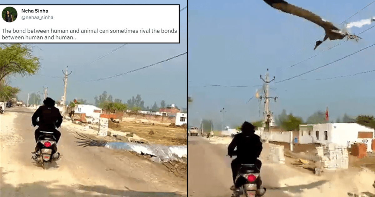 A UP Man Has Found An Unlikely Friend In A Bird He Rescued. Twitter Is In Awe Of The Bond