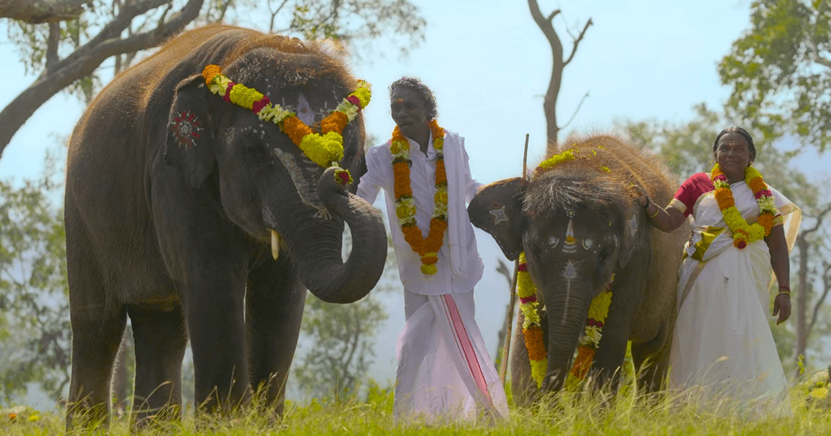 Everything To Know About India’s First Oscar-Winning Short, ‘The Elephant Whisperers’