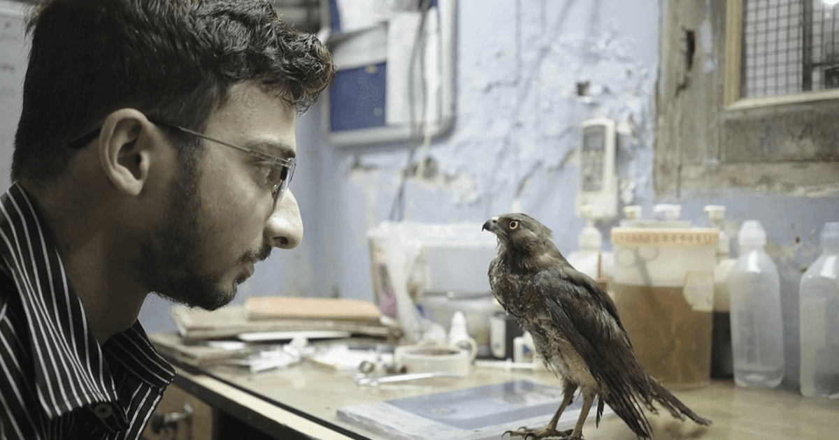 All That Breathes Deserves Just As Much Recognition For Its Message As Any Other Oscar-Winning Film