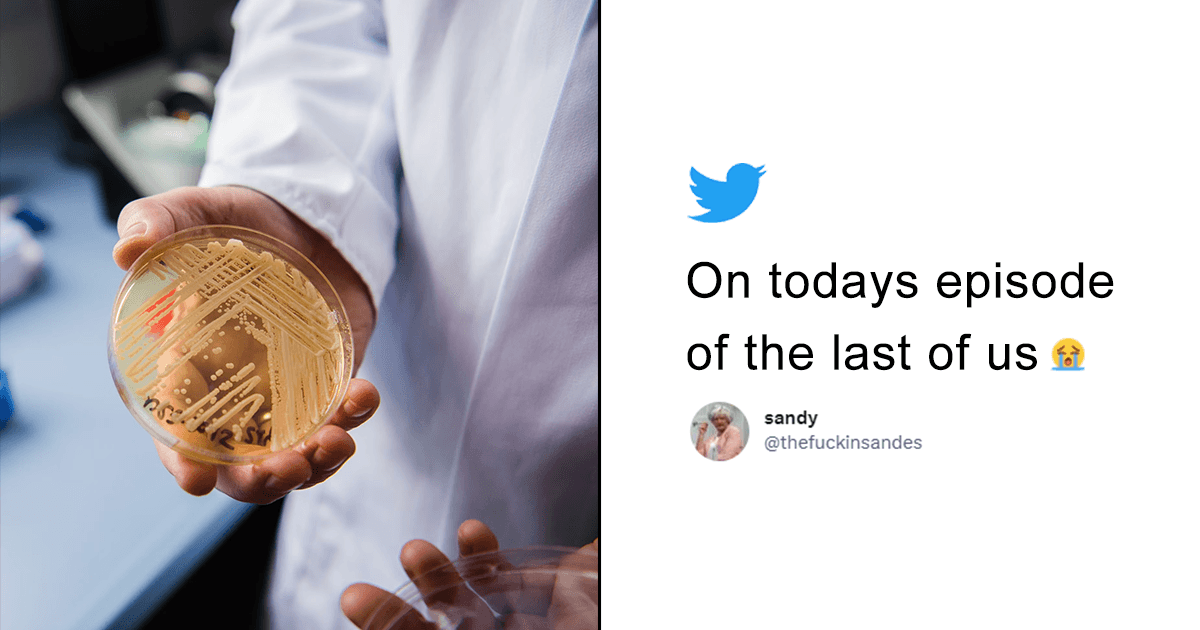 ‘The Last Of Us’ Much? A Fungal Infection Is Spreading In USA & The Internet Wants Joel