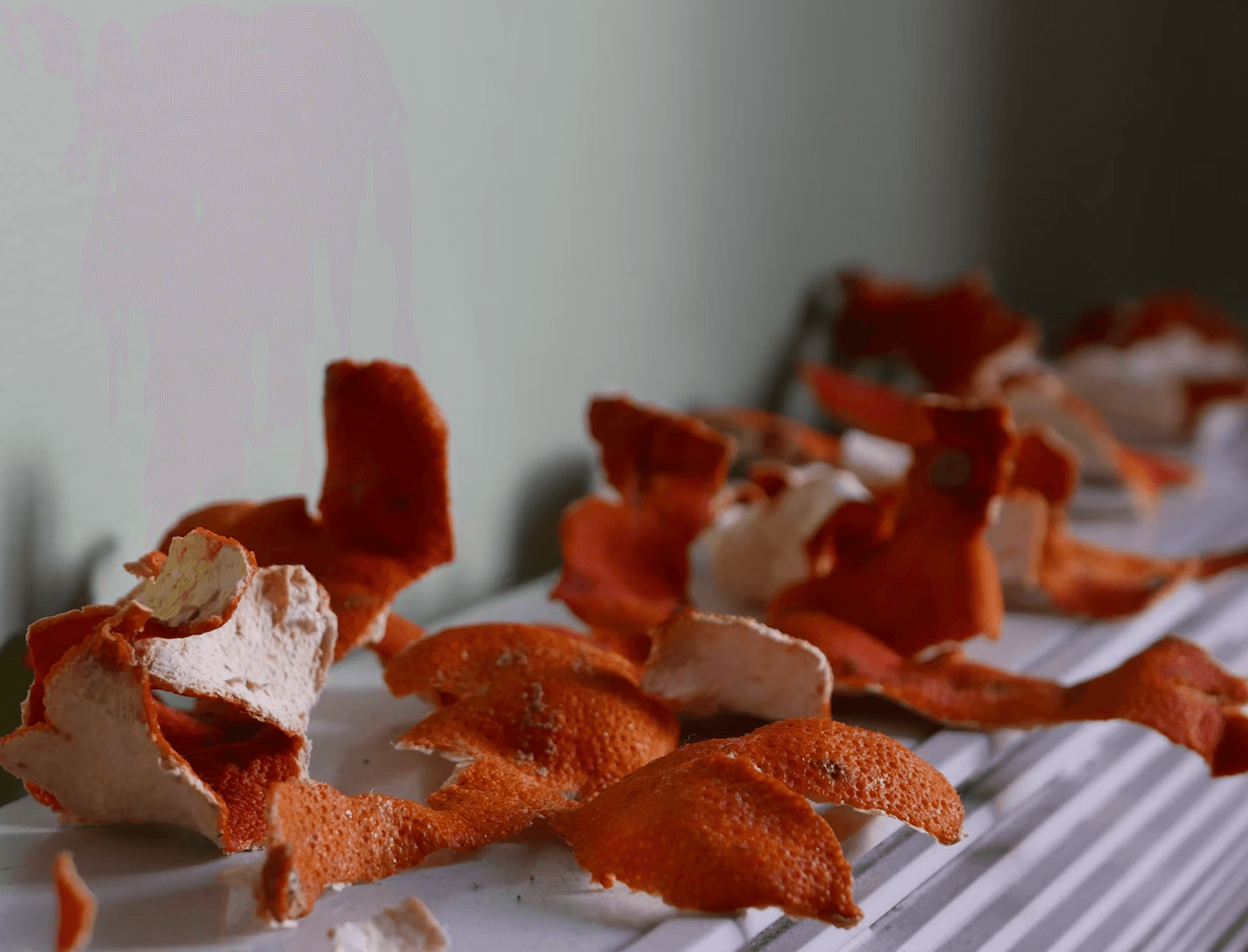 Orange Peel Theory: Know The Sentiment Behind This Very Literal TikTok Trend