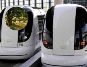 Mumbai’s ₹1,016-Crore Pod Taxi Project In BKC May Cut 400+ Trees, Affect Mangroves? All You Need To Know