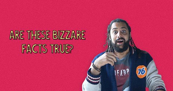 Are These Bizzare Facts True?