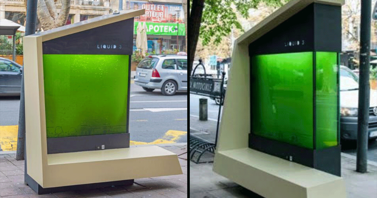 Scientists Have Made ‘Liquid Trees’ That Improve Air Quality & People Are Really Divided Over This