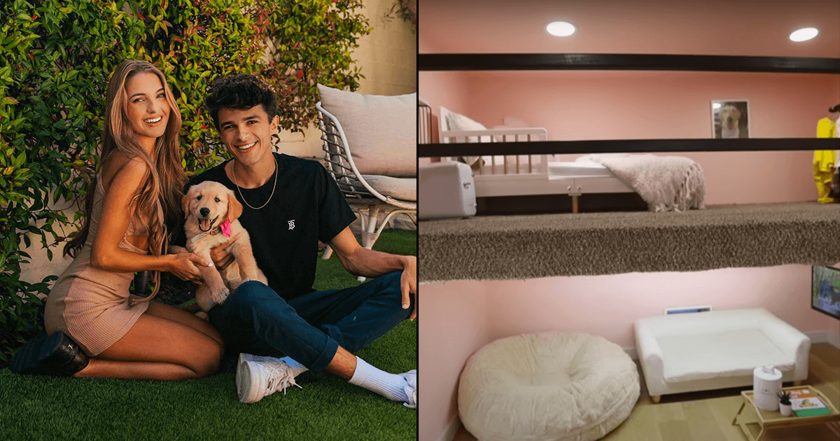 A Doggo’s Antilia: A Guy Built A ₹16.5 Lakh House For His Dog & Honestly We’d Like To Live There Too