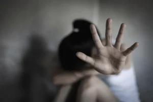 Will Show You Beautiful Sights, Udaipur Man Told French Tourist, Then Raped Her
